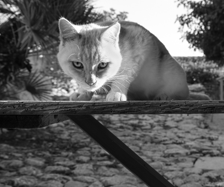 Gallery of Photography by Patrizia Galia - Italy