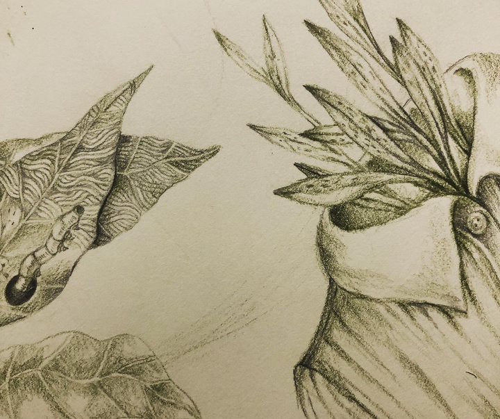 Gallery of illustration by Najmeh Rezaei -Iran