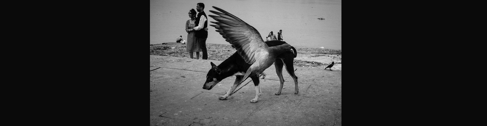 Gallery of Photography by Subhran Karmakar-India
