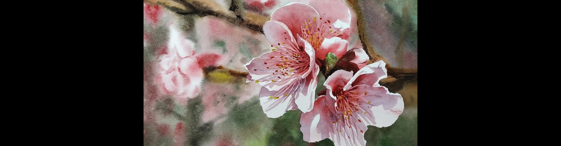 Gallery of Watercolor painting by Diego Eguinlian- Argentina