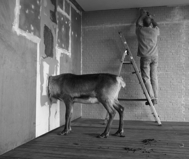 Gallery of Modern Art by Ruben Bellinkx - Belgium