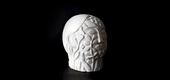 Gallery of Sculpture & Painting by Thomas Montenegro - Australia/Spain