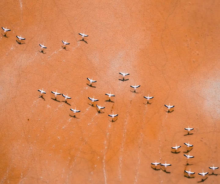 Gallery of Photography by Nicolas Ferri - Brazil