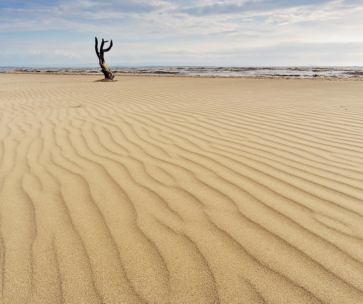 Gallery of Photography by Emma Steele