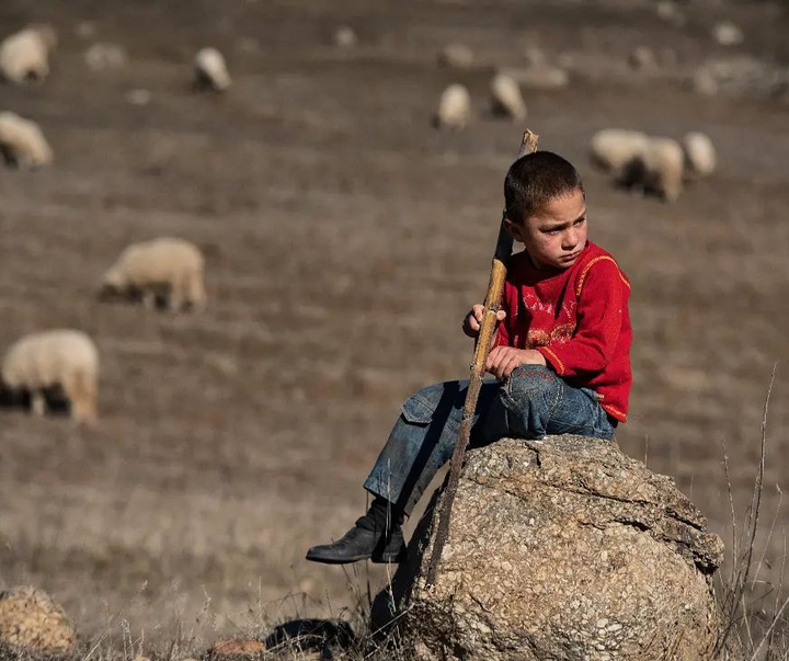 Gallery of photography by Niyazi Gurgen-Turkey