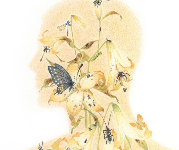 Gallery of Illustration by Dagou - China