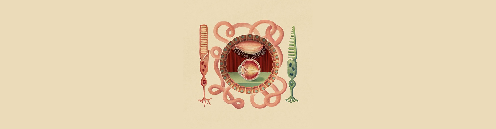 Gallery of Illustration by Ada Zejun Shen - USA