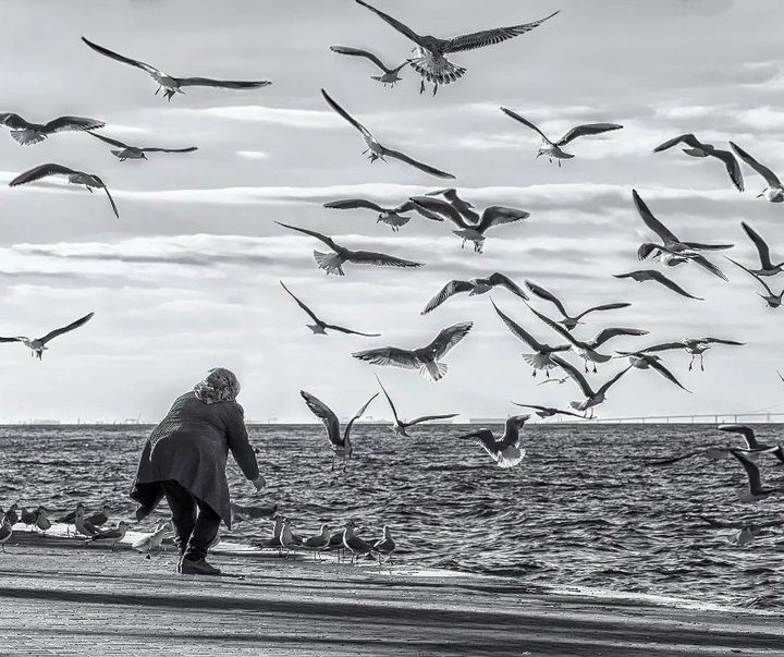 Gallery of Photos by Ahmet Muhtar Taskaya-Turkey