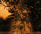 Gallery of Photography by Joe Clarke - UK