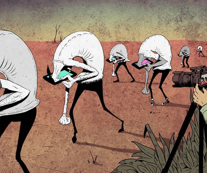 steve cutts