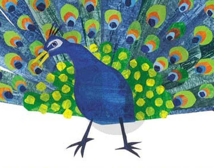 gallery of Illustrations by Eric Carle from USA