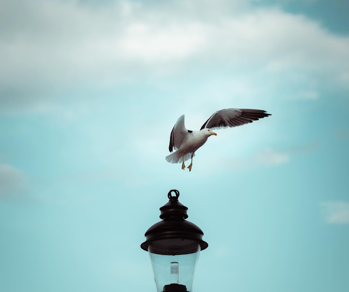 Gallery of Photography by Daniel Hedquist - Sweden