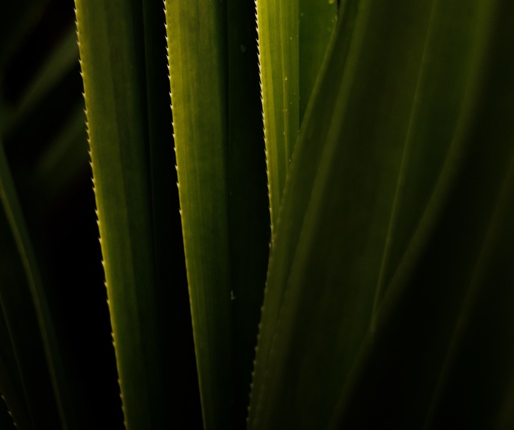 Gallery of Photography by Nicolas Ferri - Brazil