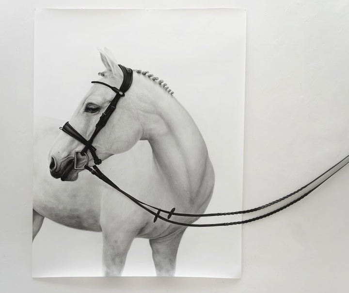 Gallery of Drawing & Painting by Kit King - Canada