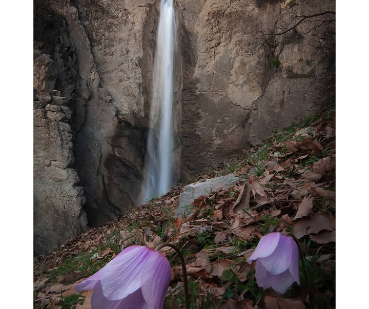 Gallery of photography by Farshad Sorkhi-Iran