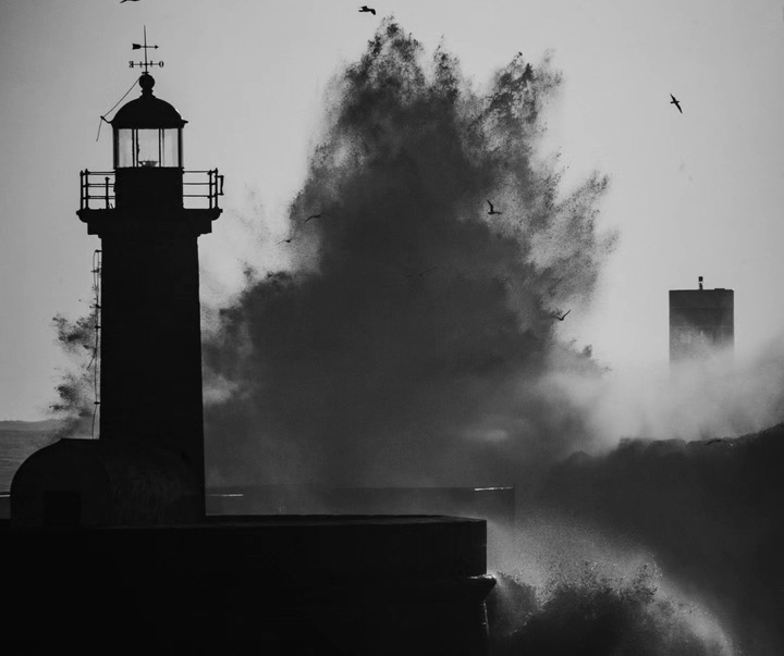 Gallery of Photography by João Cabral - Portugal