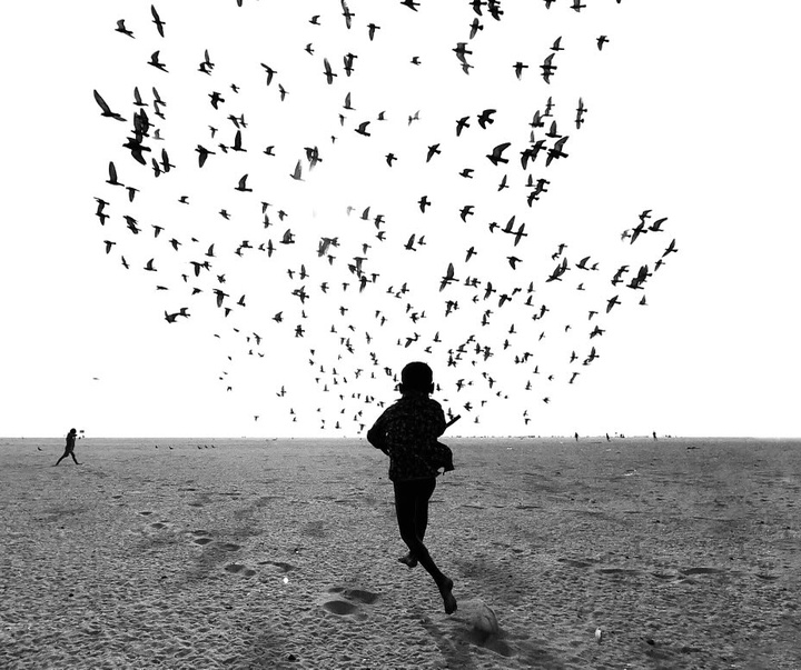 Gallery of Photography by Dimpy Bhalotia - India