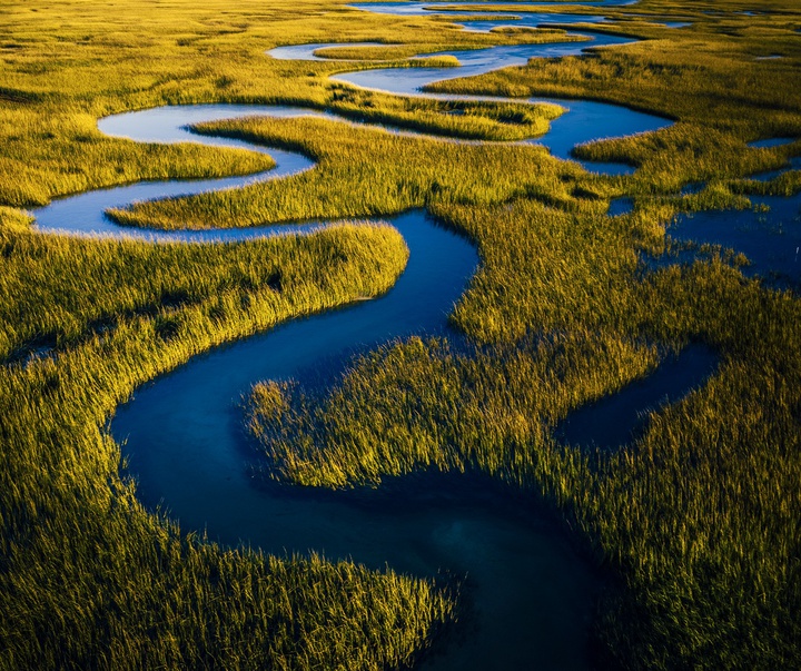 Gallery of Photography by Joanna Steidle - USA