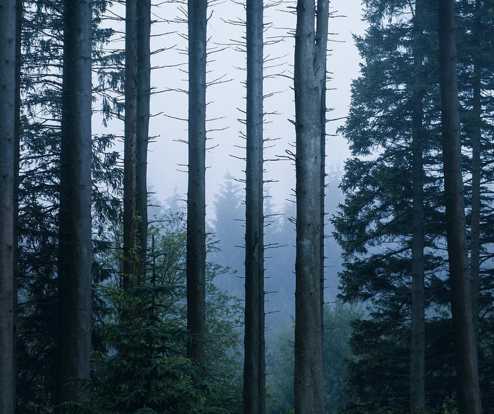 Gallery of Photography by Daryl Scott Walker - England