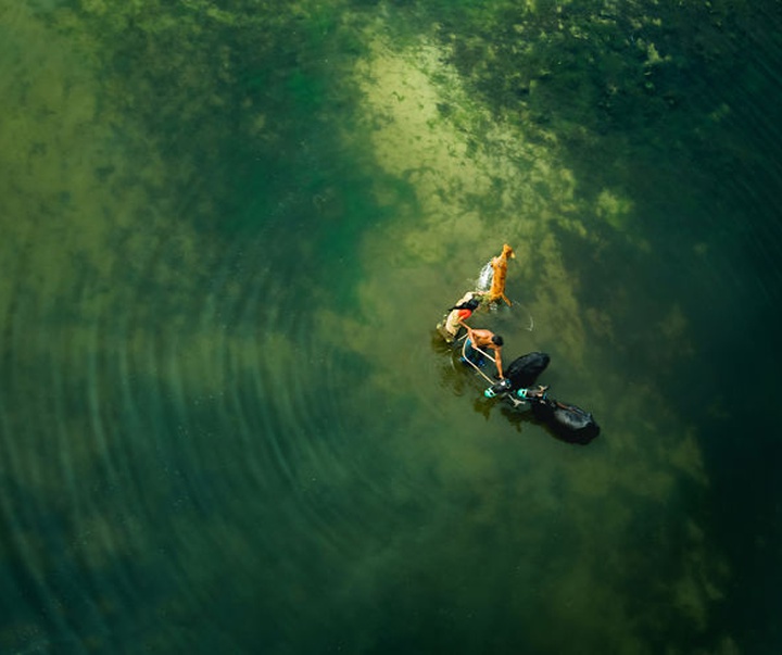 Gallery of Photography by Shamim Shorif Susom - Bangladesh