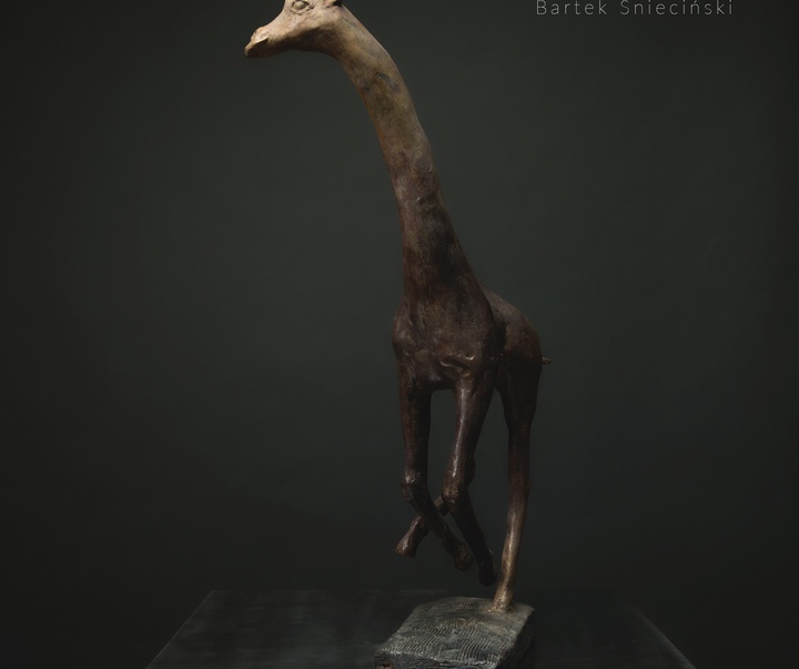 Gallery of Sculpture by Bartek Śnieciński - Poland
