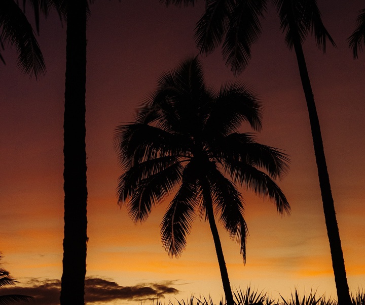 Gallery of Photography by Nicolas Ferri - Brazil