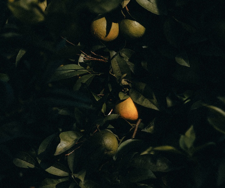 Gallery of Photography by Joe Clarke - UK