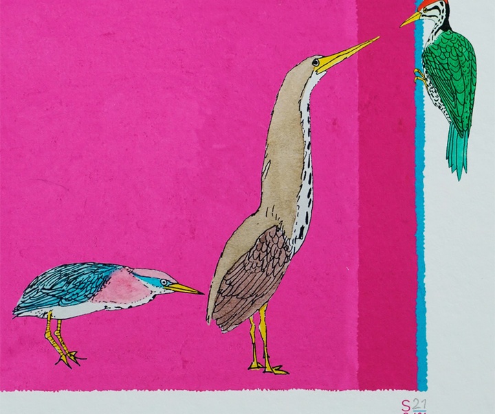 Gallery of Illustration by Brian Wildsmith - UK