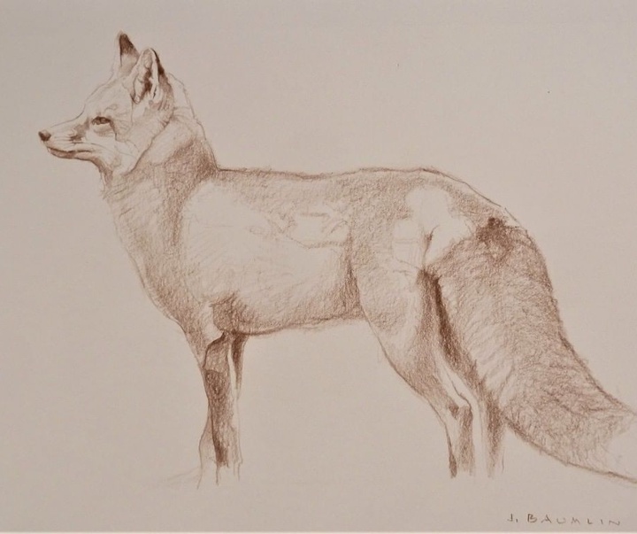 Gallery of Drawing by John Perry Baumlin- American