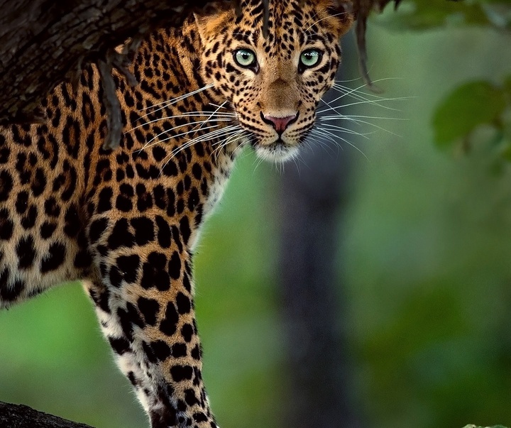 Gallery of Photography by Mithun Hunugund