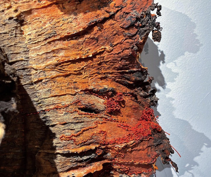 Gallery of Modern Art by Carlie Trosclair - USA