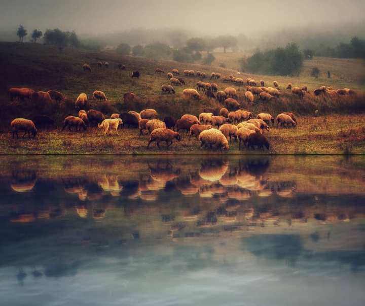 Gallery of Landscape Photography by Mojtaba Dori-Iran