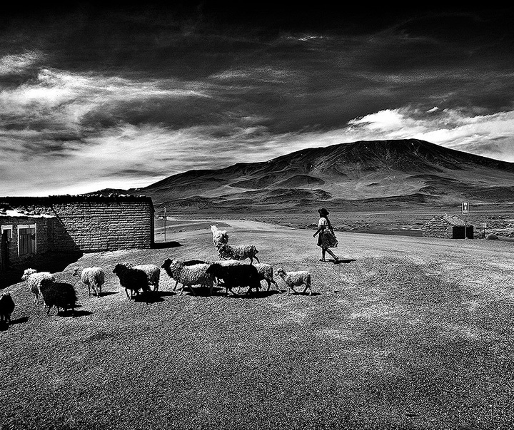 Gallery of photography by Rocha" - Roberto Soares Gomez-Brazil