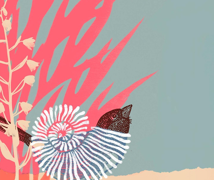 Gallery of Illustration by Noé Aceitón Ramiro - Spain