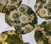 Gallery of Painting & Photography by Jane Constable - UK