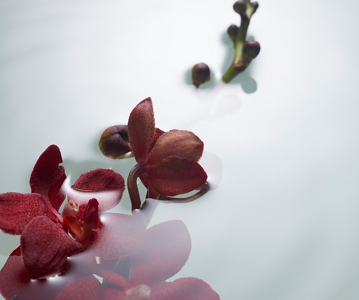 Gallery of Photography by Danny Eastwood - Australia