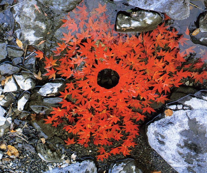 Gallery of Modern Art by Andy Goldsworthy - England