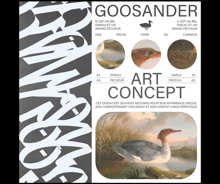 Gallery of Graphics by Mateo Mace