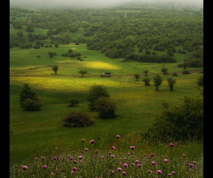 Gallery of Photography by Javad Jahanbin- Iran