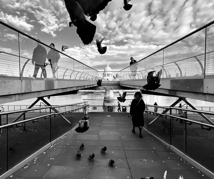 Gallery of Photography by Dimpy Bhalotia - India