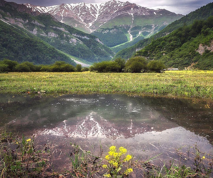 Gallery of Photography by Forouzan Yektaee-Iran