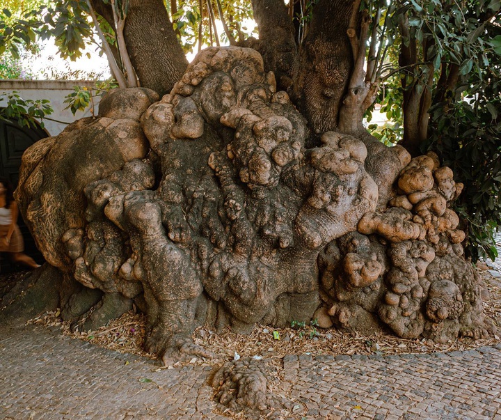 Gallery of Photography by El Santo - Mexico