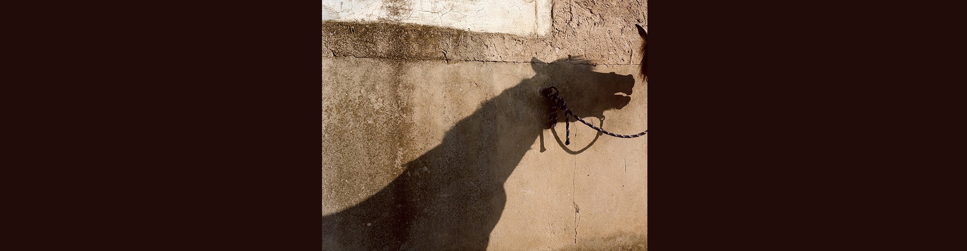Gallery of Photography by laura pannack - UK