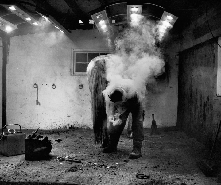 Gallery of Photography by Constance Jaeggi - Switzerland