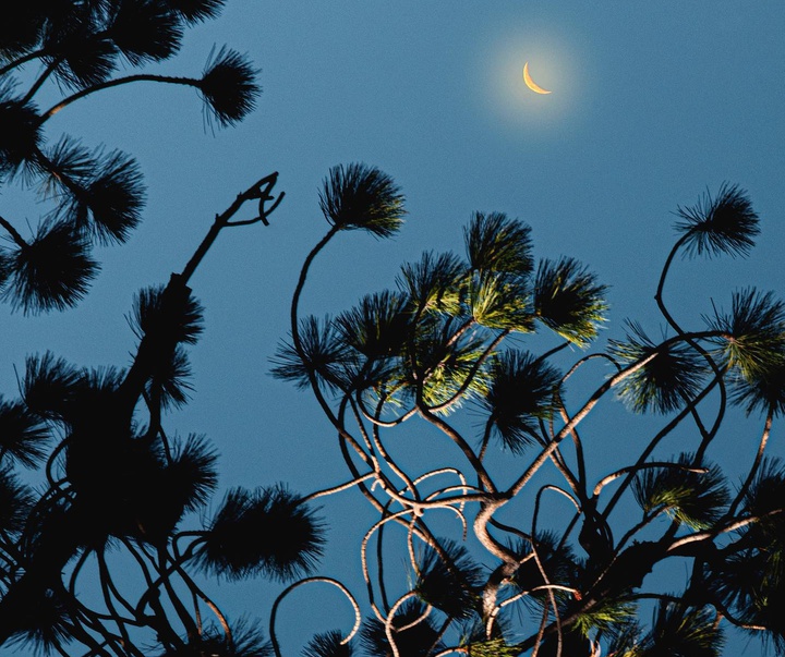 Gallery of photography by Kanghee Kim-South Korea