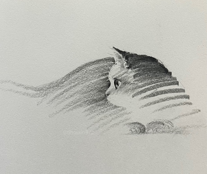 Gallery of Drawing by Shou Xin - China