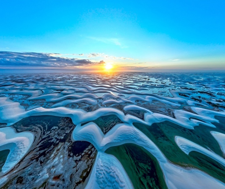 Gallery of Photography by Paul Nicklen - Canada