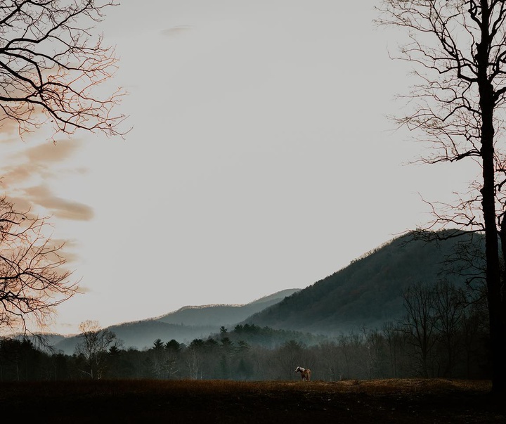 Gallery of Photography by Abbey Bratcher Parish - USA