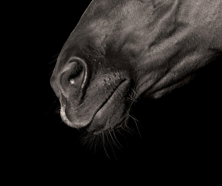 Gallery of Photography by Constance Jaeggi - Switzerland