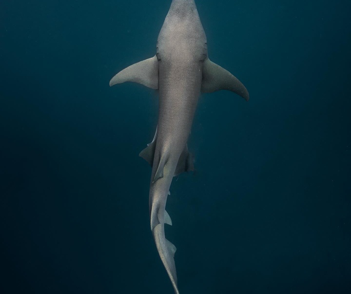 Gallery of Photography by Luke Stackpoole - UK